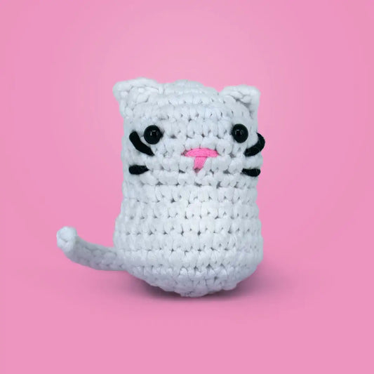 Kedili Örgü Öğrenme Seti