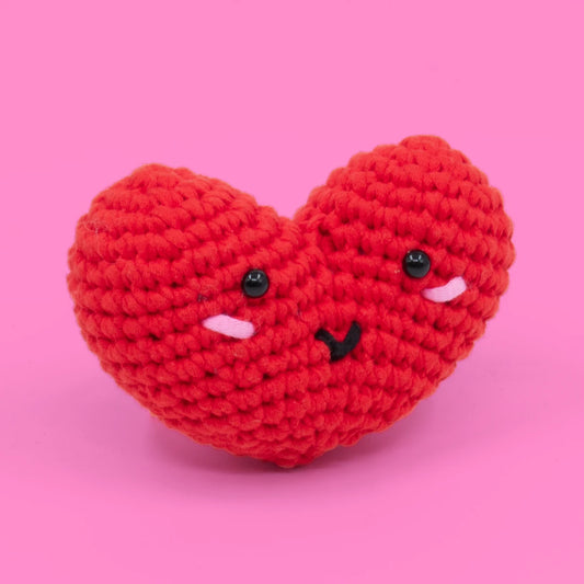 Kalpli Örgü Öğrenme Seti